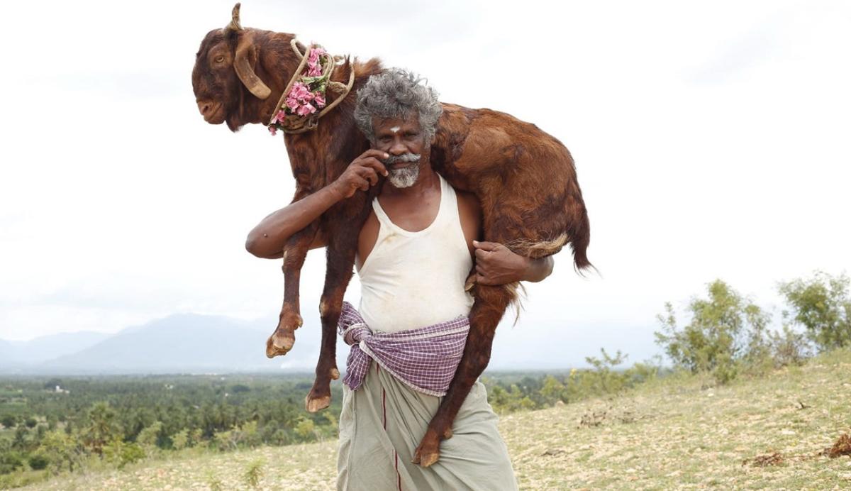 கொங்கு வட்டாரத்தை மையமாகக் கொண்ட ‘ஒண்டிமுனியும் நல்லபாடனும்’ – நவம்பரில் வெளியாகிறது