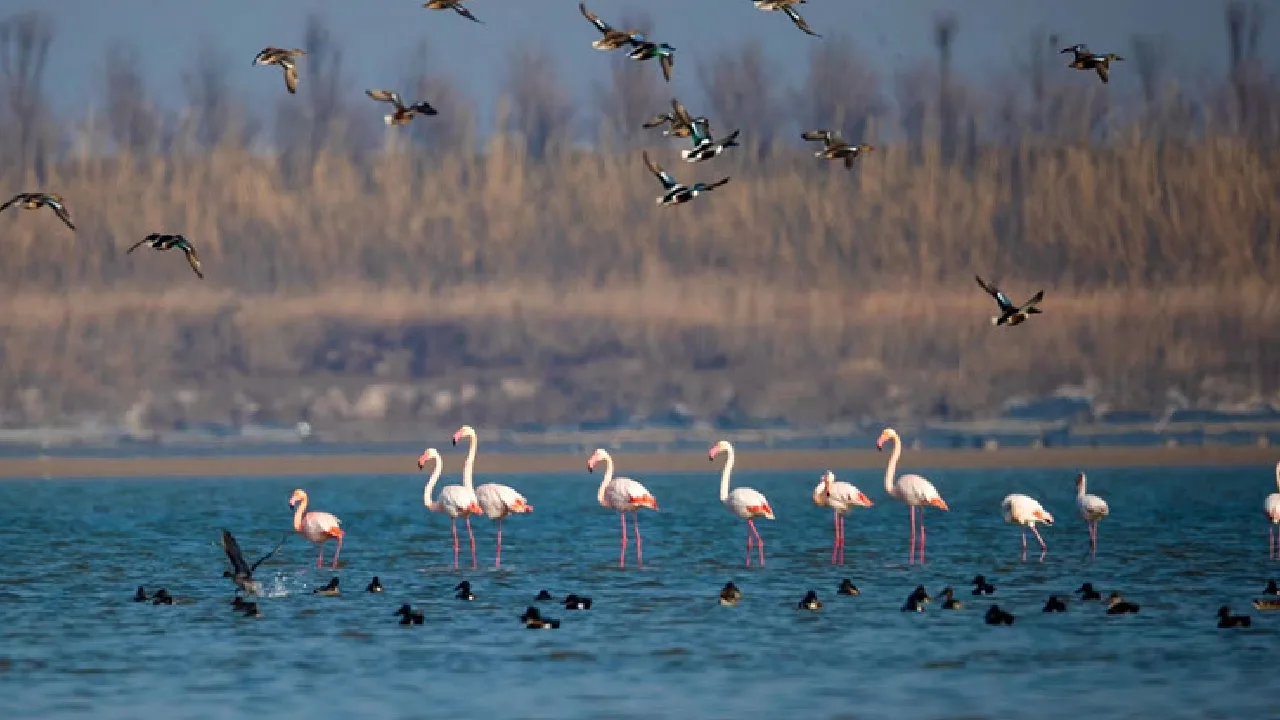 அலஹாபாத் உயர்நீதிமன்றம் அதிரடி உத்தரவு : மதம் மாறியவருக்கு SC சலுகை செல்லாது — மோசடியாக கருதப்படும்