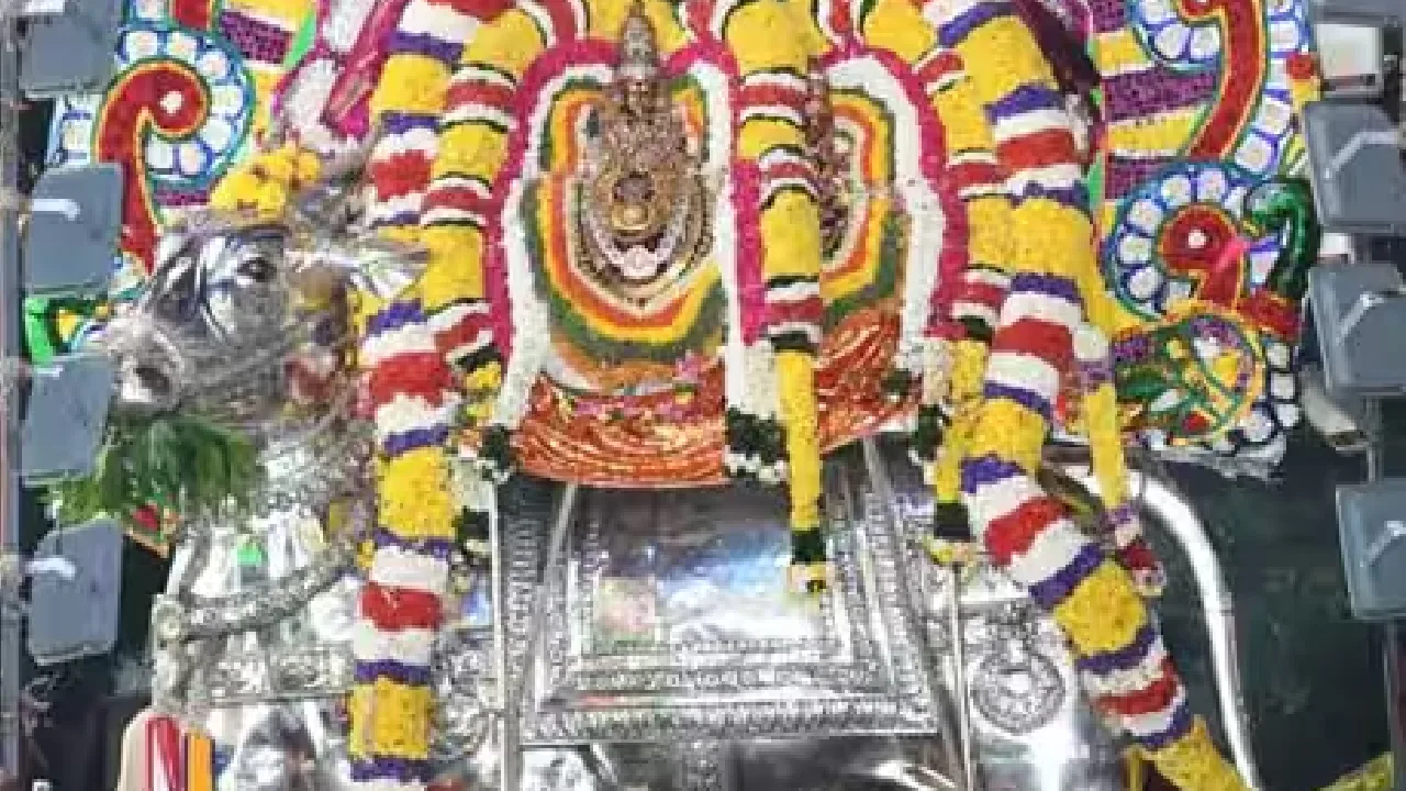 அண்ணாமலையார் கோயிலில் வெள்ளி யானை வாகனத்தில் அருள்பாலித்த சுவாமி