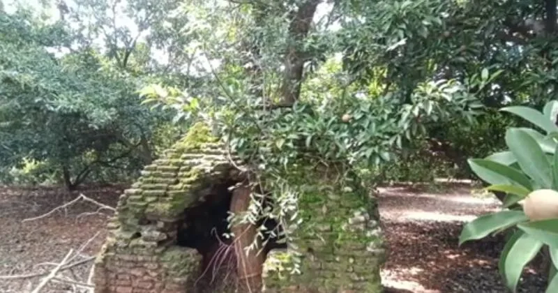 ஊத்தங்கரையில் மூன்று நடுகற்கோயில்கள் கண்டெடுப்பு – தொல்லியல் துறை ஆய்வு ஆரம்பம்!