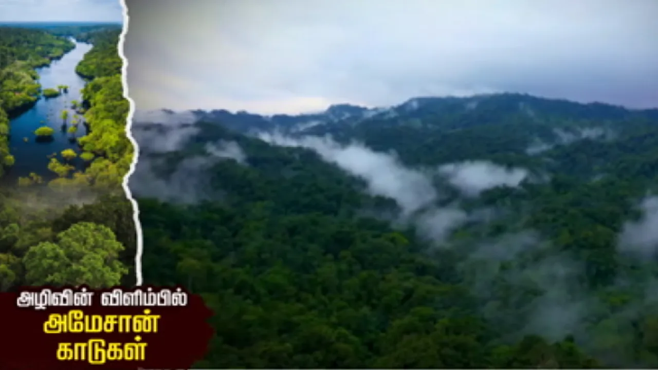 அழிவின் நுனியில் அமேசான் — ஆக்சிஜன் களஞ்சியம் இருந்து கார்பன் களஞ்சியமாக மாறும் அபாயம்!