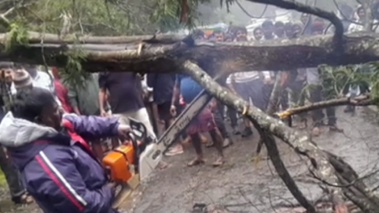 கொடைக்கானலில் நீடிக்கும் மழை – வனப்பகுதி சுற்றுலாத் தளங்களுக்கு தொடர்ந்தும் தடை!