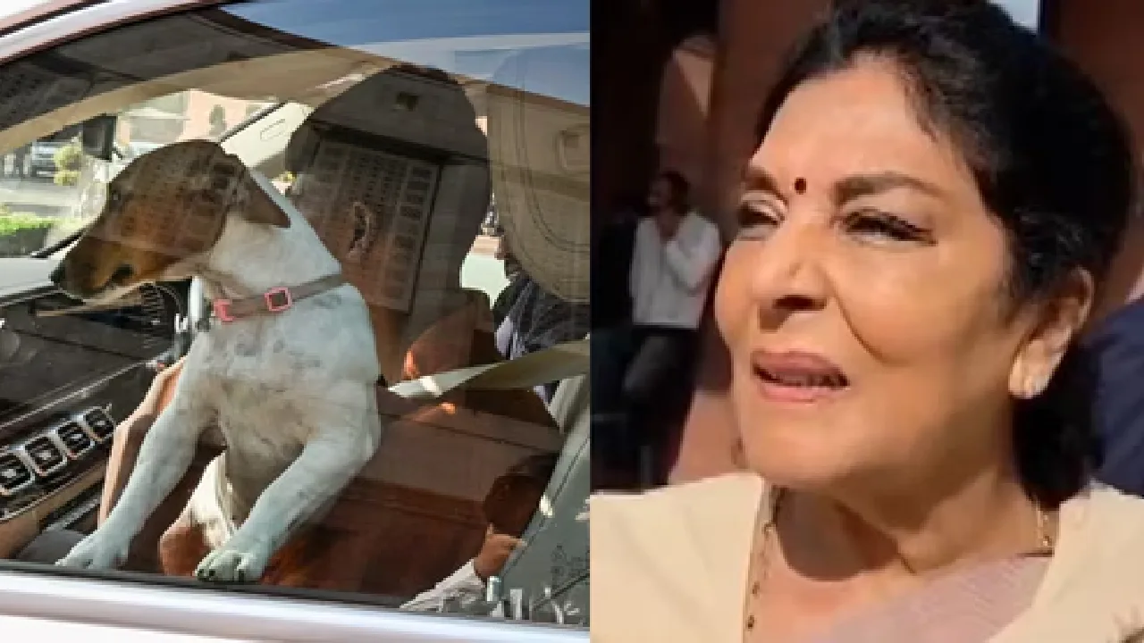 நாடாளுமன்றத்திற்கு நாயுடன் வந்த காங்கிரஸ் எம்.பி – பரபரப்பு!