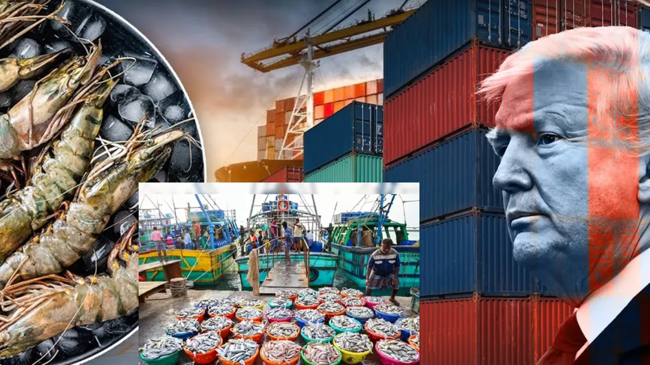 கடல் உணவு ஏற்றுமதி உயர்வு : அமெரிக்காவின் கூடுதல் வரிகளையும் மீறி முன்னேறிய இந்தியா!