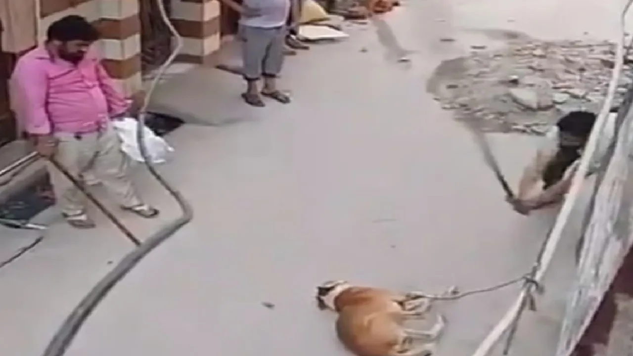 கர்நாடகாவில் தெருநாயை அடித்துக் கொன்ற இளைஞர்கள் – வீடியோ வைரல்