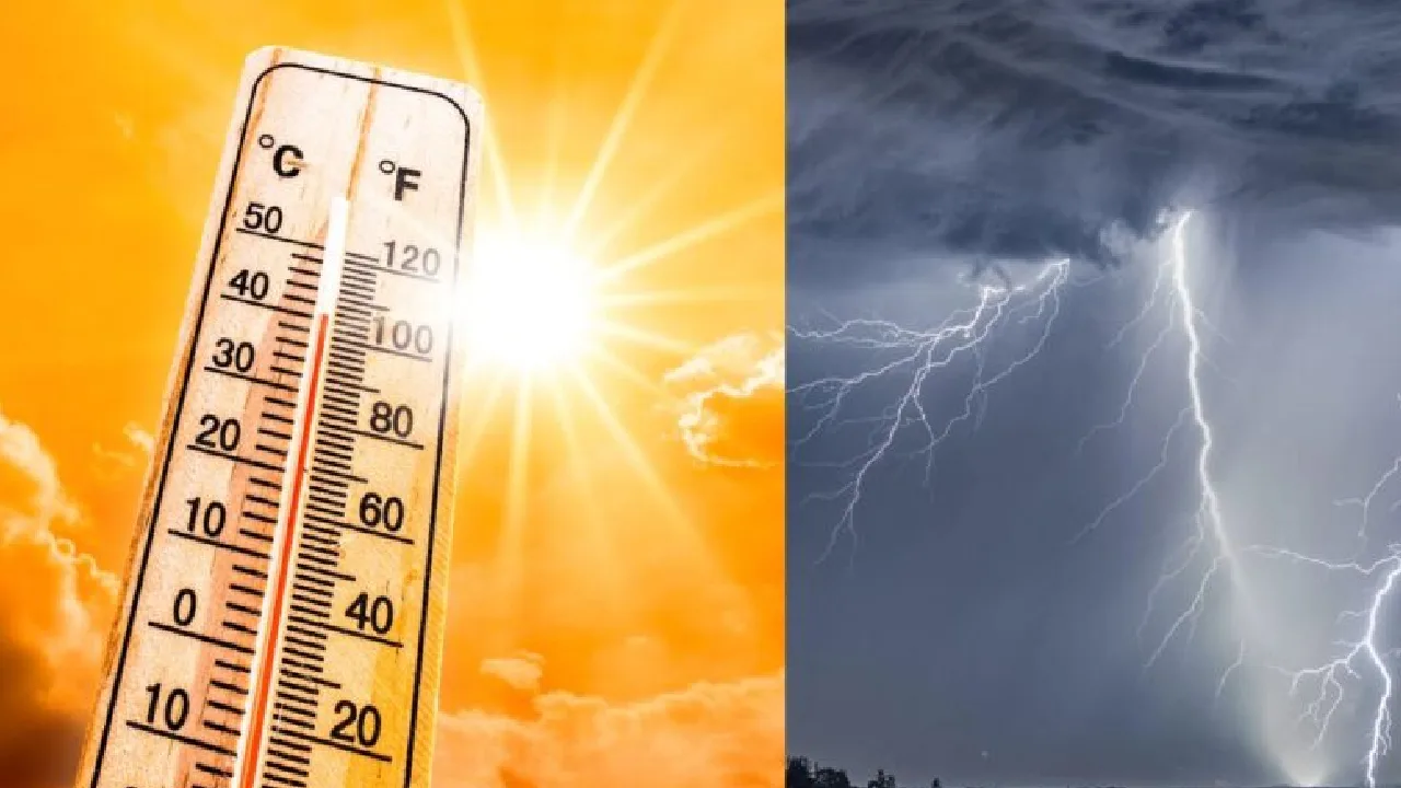 நவம்பர் மாத சராசரியை விட 0.65°C அதிகமாக வெப்பநிலை உயர்வு
