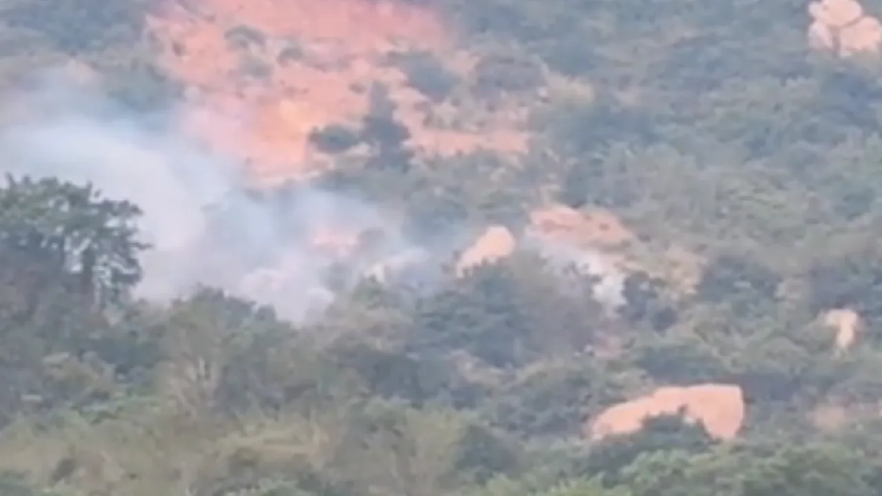 திருவண்ணாமலை கோயில் மலையில் மர்ம தீவைத்தல் – பரபரப்பு