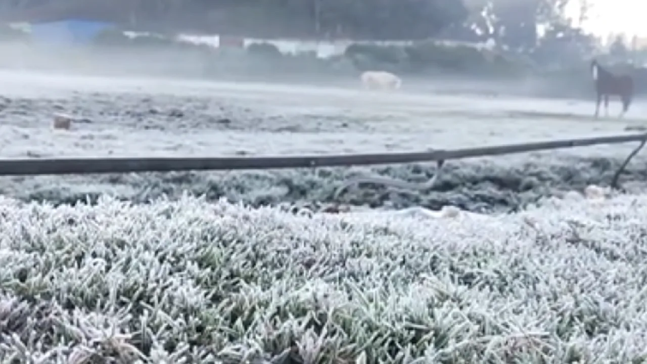 உதகையில் தொடர்ந்து 2வது நாளாக கடும் உறைபனி தாக்கம்!