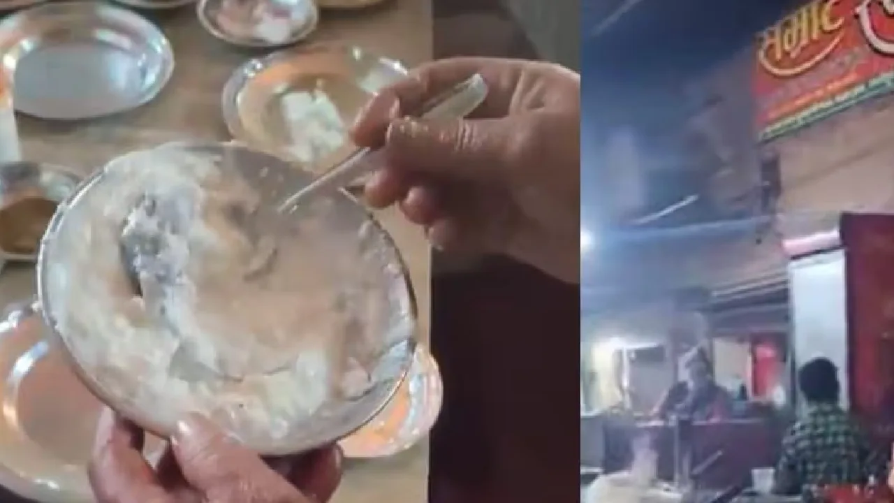 உணவகத்தில் பரிமாறப்பட்ட தயிர் வடையில் செத்த எலி – வாடிக்கையாளர்கள் அதிர்ச்சி!