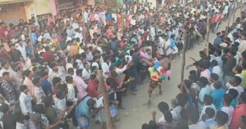 காணும் பொங்கல் உற்சாகம் – பல மாவட்டங்களில் பாரம்பரிய விளையாட்டுகள் களைகட்டின