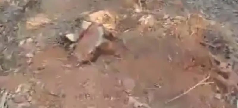 கன்யாகுமரி: அரசு நிலத்தில் மரங்கள் மற்றும் பாறைகள் கடத்தல் – நடவடிக்கை எடுக்கக் கோரி பொதுமக்கள் புகார்!