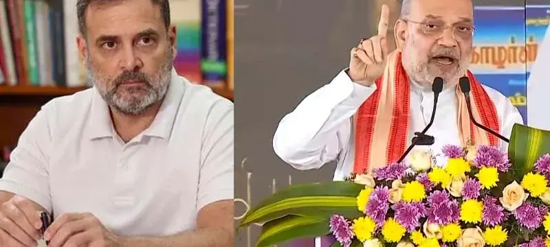 ராகுல் காந்தி மீது அமித்ஷா கடும் விமர்சனம்