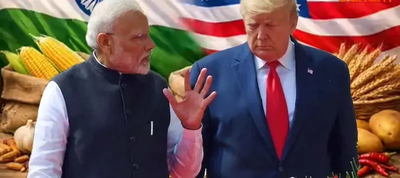 பருப்பு வகைகளுக்கு வரிச்சலுகை இல்லை… இந்தியா–அமெரிக்கா வர்த்தக ஒப்பந்தத்தில் அமைதியான திருத்தம்