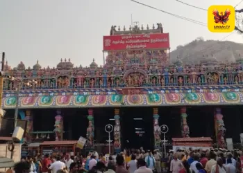 தமிழகமெங்கும் களைகட்டிய பங்குனி உத்திரம்: முருகனடியார்கள் ‘அரோகரா’ முழக்கத்துடன் கிரிவலம் – தேரோட்ட நிகழ்வுகள் விமரிசை!