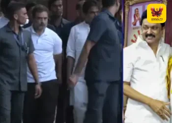 தொகுதிப் பங்கீட்டில் அதிருப்தி? தமிழக தேர்தல் பிரச்சாரத்தைப் புறக்கணிக்கிறாரா ராகுல் காந்தி? – அரசியல் வட்டாரத்தில் சலசலப்பு!
