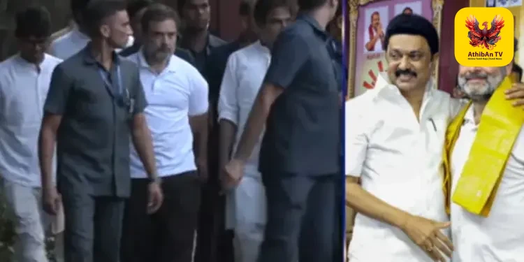 தொகுதிப் பங்கீட்டில் அதிருப்தி? தமிழக தேர்தல் பிரச்சாரத்தைப் புறக்கணிக்கிறாரா ராகுல் காந்தி? – அரசியல் வட்டாரத்தில் சலசலப்பு!