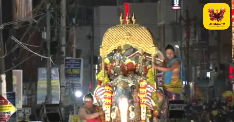 மதுரை சித்திரை திருவிழா: திருக்கல்யாண கோலத்தில் வீதியுலா வந்த மீனாட்சி-சுந்தரேஸ்வரர்!