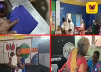 வரலாற்று சாதனை: தமிழக சட்டப்பேரவை தேர்தலில் 85.13% வாக்குகள் பதிவு!