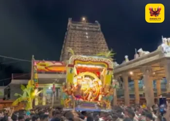 அண்ணாமலையார் கோயிலில் சித்திரை வசந்த உற்சவம்: பொம்மை பூ கொட்டும் நிகழ்வில் திரண்ட பக்தர்கள்!