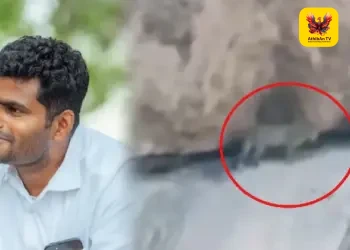 கோவை கக்குராயன் மலைப் பகுதியில் சிறுத்தையை உடனே பிடிக்க வேண்டும்: அண்ணாமலை வலியுறுத்தல்!