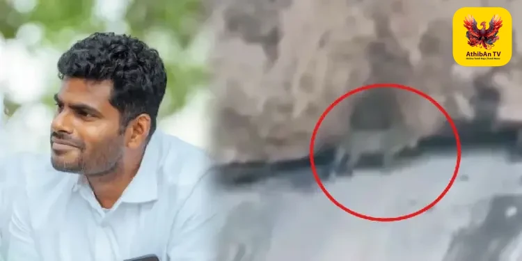 கோவை கக்குராயன் மலைப் பகுதியில் சிறுத்தையை உடனே பிடிக்க வேண்டும்: அண்ணாமலை வலியுறுத்தல்!