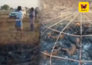 விருதுநகர்: கோரமான காட்டுத்தீ – 40 ஆடுகள் தீயில் கருகி பலியான சோகம்!