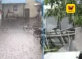 விருதுநகரில் பலத்த காற்றுடன் கொட்டிய கனமழை: மரங்கள், மின்கம்பங்கள் சாய்ந்து பெரும் சேதம் – மின்விநியோகம் பாதிப்பு!