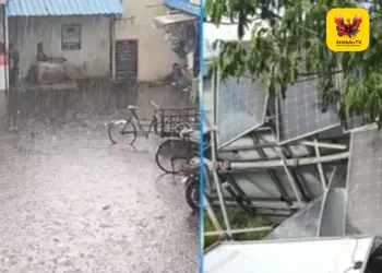 விருதுநகரில் பலத்த காற்றுடன் கொட்டிய கனமழை: மரங்கள், மின்கம்பங்கள் சாய்ந்து பெரும் சேதம் – மின்விநியோகம் பாதிப்பு!