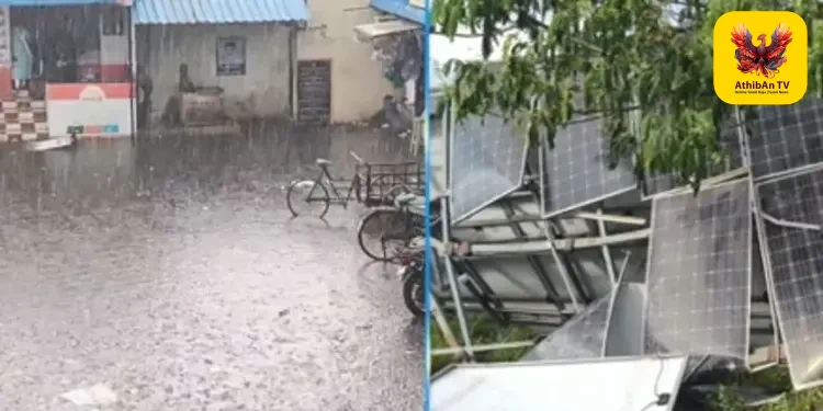 விருதுநகரில் பலத்த காற்றுடன் கொட்டிய கனமழை: மரங்கள், மின்கம்பங்கள் சாய்ந்து பெரும் சேதம் – மின்விநியோகம் பாதிப்பு!