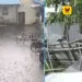 விருதுநகரில் பலத்த காற்றுடன் கொட்டிய கனமழை: மரங்கள், மின்கம்பங்கள் சாய்ந்து பெரும் சேதம் – மின்விநியோகம் பாதிப்பு!