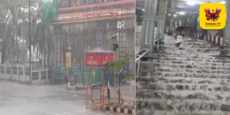 தென் மாவட்டங்களில் வெளுத்து வாங்கிய கனமழை: பழனி கோவில் படிக்கட்டுகளில் கொட்டிய நீர் – தேனியில் சூறாவளியால் பாதிப்பு!