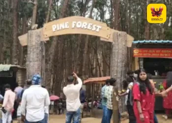 கொடைக்கானலில் அதிரடி சலுகை: மே 31 வரை வனத்துறை சுற்றுலாத் தலங்களுக்கு இலவச அனுமதி – முதல்வர் விஜய் உத்தரவின் பேரில் திண்டுக்கல் ஆட்சியர் அறிவிப்பு!