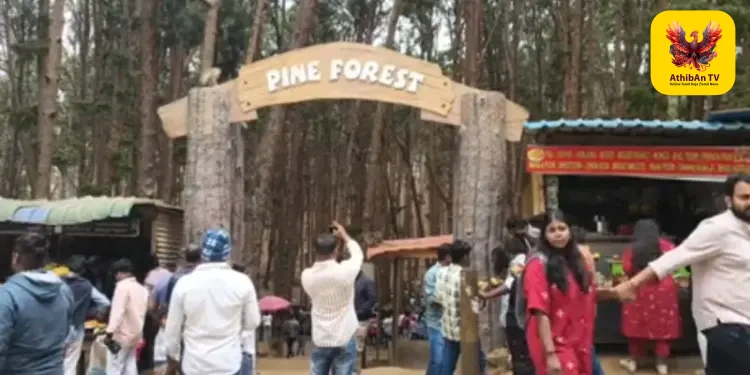 கொடைக்கானலில் அதிரடி சலுகை: மே 31 வரை வனத்துறை சுற்றுலாத் தலங்களுக்கு இலவச அனுமதி – முதல்வர் விஜய் உத்தரவின் பேரில் திண்டுக்கல் ஆட்சியர் அறிவிப்பு!
