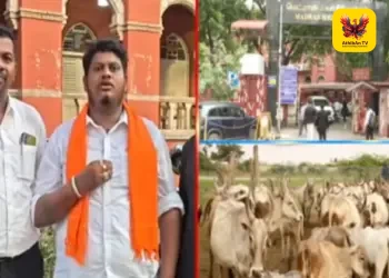 பக்ரீத் பண்டிகை: அனுமதிக்கப்பட்ட இடங்களைத் தவிர பிற பொது இடங்களில் மாடுகளை வெட்ட சென்னை உயர் நீதிமன்றம் தடை!