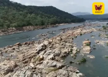 மேகதாது அணை திட்டத்திற்குத் தடை கோரி தேசிய பசுமைத் தீர்ப்பாயத்தில் தமிழக அரசு அதிரடி வழக்கு!