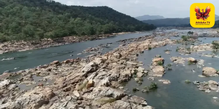 மேகதாது அணை திட்டத்திற்குத் தடை கோரி தேசிய பசுமைத் தீர்ப்பாயத்தில் தமிழக அரசு அதிரடி வழக்கு!