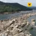 மேகதாது அணை திட்டத்திற்குத் தடை கோரி தேசிய பசுமைத் தீர்ப்பாயத்தில் தமிழக அரசு அதிரடி வழக்கு!