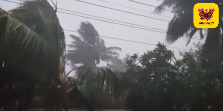 மேலூரில் திடீர் வானிலை மாற்றம்: கொளுத்திய வெயிலுக்கு மத்தியில் ஆலங்கட்டி மழை – பொதுமக்கள் உற்சாகம்!