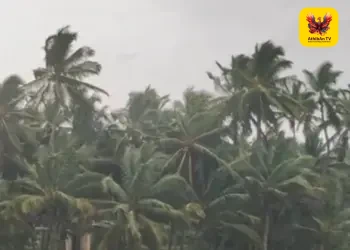எல் நினோவால் குறையும் பருவமழை: விவசாய உற்பத்தி பாதிப்பால் வறட்சி அபாயமா? – ஒரு சிறப்புப் பார்வை!