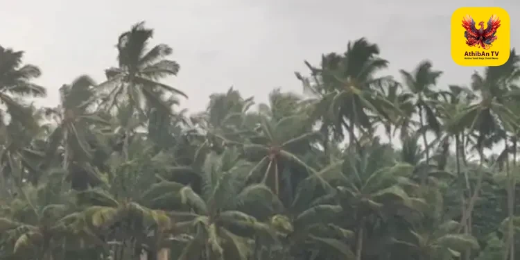 எல் நினோவால் குறையும் பருவமழை: விவசாய உற்பத்தி பாதிப்பால் வறட்சி அபாயமா? – ஒரு சிறப்புப் பார்வை!