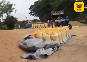 நெல் கொள்முதல் நிலையங்களில் இடைத்தரகர்கள் ஆதிக்கம்: தகுந்த உத்தரவு பிறப்பிக்கச் சென்னை உயர் நீதிமன்றம் அதிரடி ஆணை!
