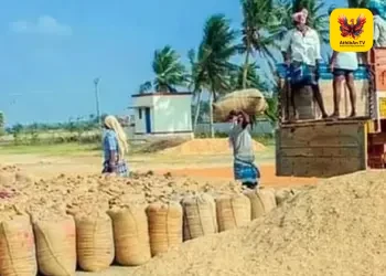 “நெல் கொள்முதலில் இடைத்தரகர்கள் தலையீடா?” – சென்னை உயர் நீதிமன்றம் கடும் கண்டனம்; 2 வாரங்களில் நடவடிக்கை எடுக்க உத்தரவு!