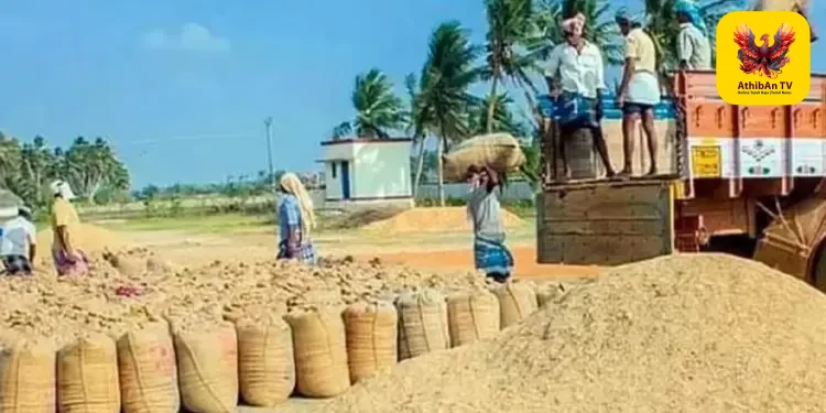 “நெல் கொள்முதலில் இடைத்தரகர்கள் தலையீடா?” – சென்னை உயர் நீதிமன்றம் கடும் கண்டனம்; 2 வாரங்களில் நடவடிக்கை எடுக்க உத்தரவு!