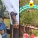 சென்னை துறைமுகத்தில் நச்சு வாயு கசிவு விவகாரம்: தமிழக அரசு மற்றும் மாசுக்கட்டுப்பாட்டு வாரியம் விளக்கமளிக்க பசுமைத் தீர்ப்பாயம் உத்தரவு!