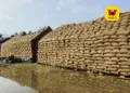 கும்பகோணம் அருகே மழையில் நனைந்து வீணான 1.5 லட்சம் நெல் மூட்டைகள்: விவசாயிகள் கடும் வேதனை!