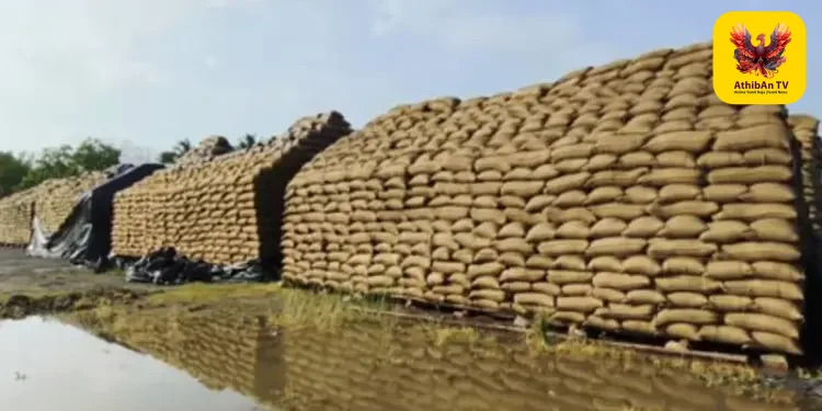 கும்பகோணம் அருகே மழையில் நனைந்து வீணான 1.5 லட்சம் நெல் மூட்டைகள்: விவசாயிகள் கடும் வேதனை!