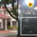 கரூர் கூட்ட நெரிசல் விபத்து வழக்கு: மீண்டும் விசாரணையைத் தீவிரப்படுத்தியது சி.பி.ஐ – காவல் ஆய்வாளர் உள்பட 10 பேருக்குச் சம்மன்!