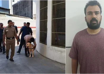 Arrest made after six months of covert surveillance.