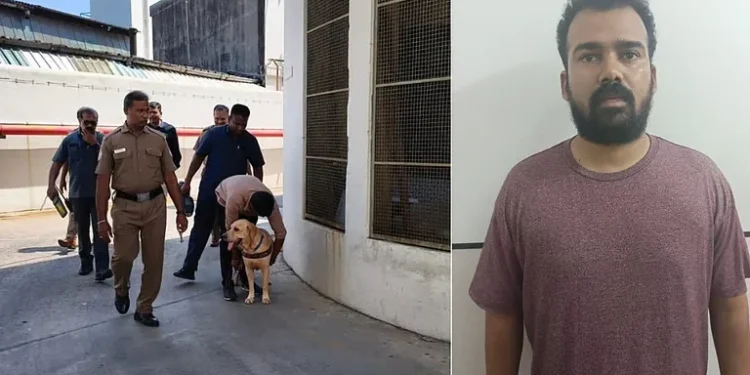 Arrest made after six months of covert surveillance. Arrest made after six months of covert surveillance.