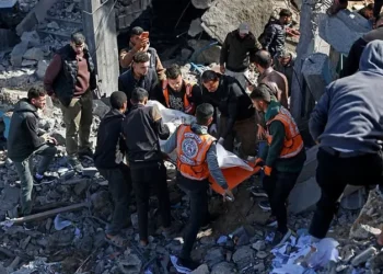 Hamas weapons manufacturing chief shot dead